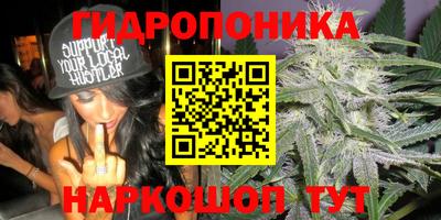 таблы Заводоуковск