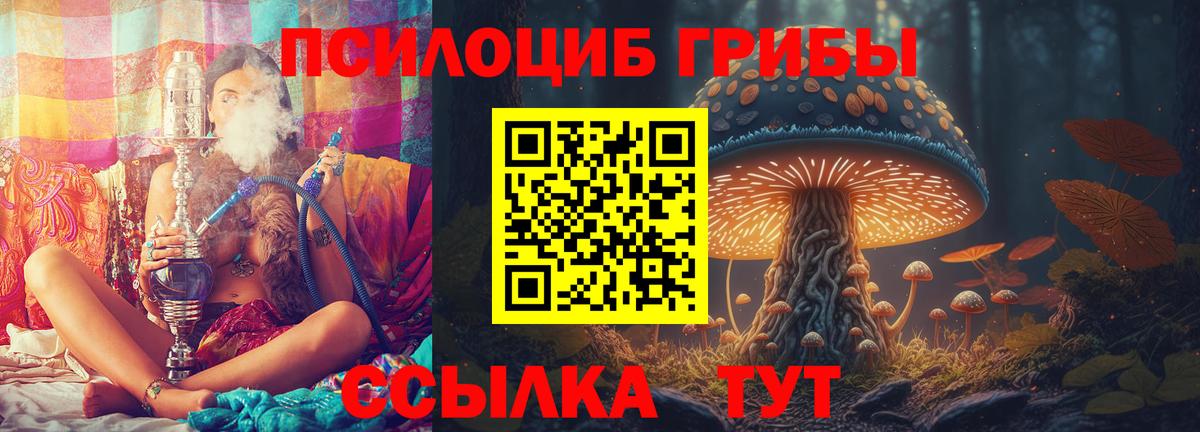 Королёв  Галлюциногенные грибы Cubensis  Вход с VPN 