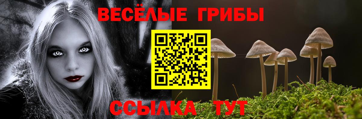 Псилоцибиновые грибы мухоморы Королёв